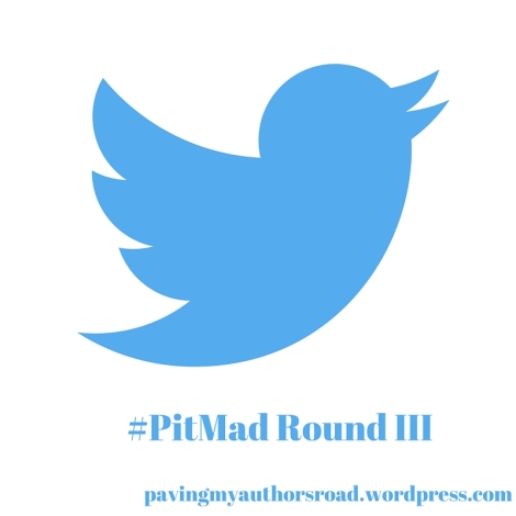 #PitMad Round III